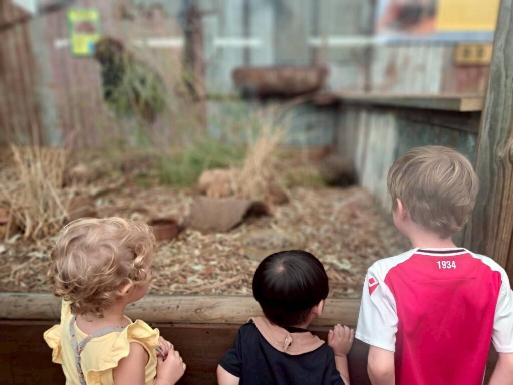 動物園の展示スペース(ケージ)を、ガラス越しに興味深そうに覗き込む3人の子供たちの後ろ姿。左から金髪でカールヘアの女の子(黄色い服)、黒髪の男の子(黒い服)、ブロンドの男の子(背番号「1934」の赤いユニフォーム)。展示内には乾いた草木や木材、土が広がり、子供たちの好奇心旺盛な様子が伝わる。