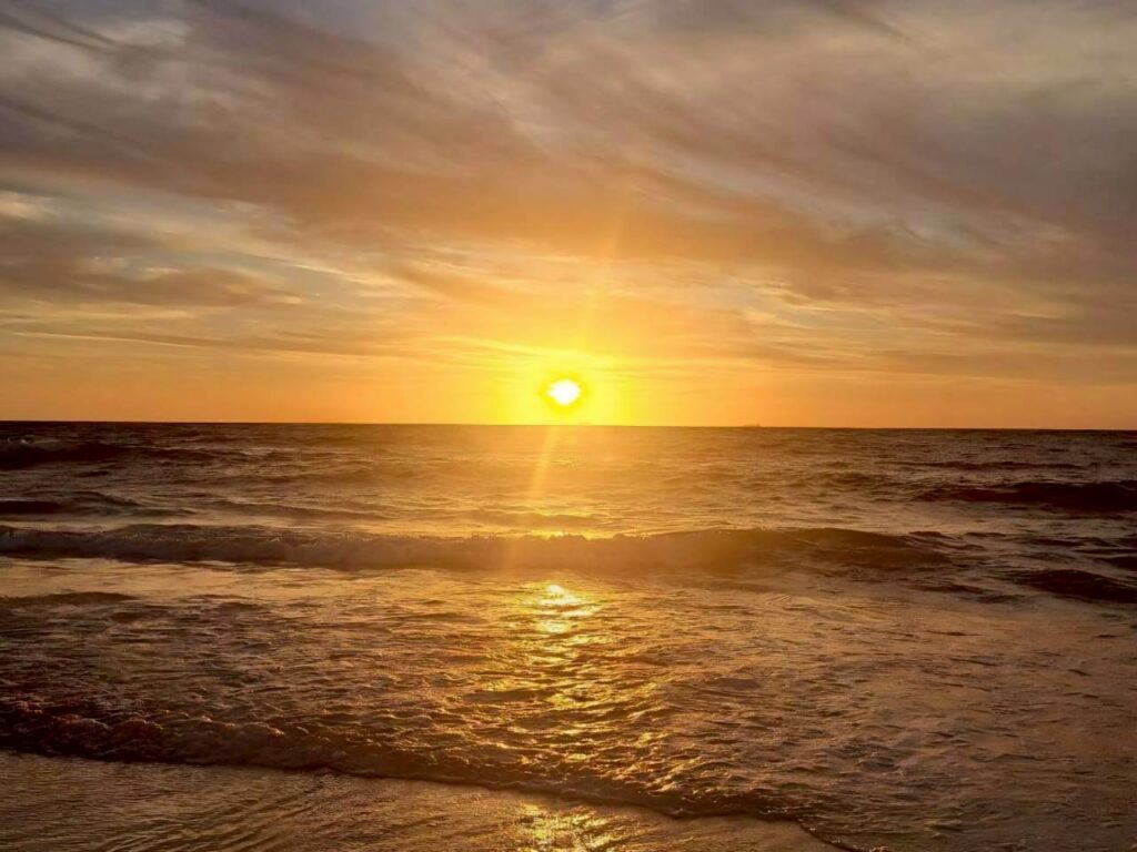オーストラリアのビーチで海に沈む、黄金色の美しい夕日と地平線。旅の余韻と細胞に刻まれた成功体験を象徴する、穏やかな風景。