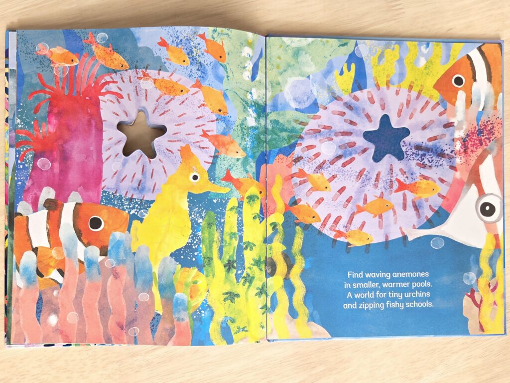 色彩豊かな子供向けの英語絵本。海の生き物と英語のフレーズが描かれた教材。